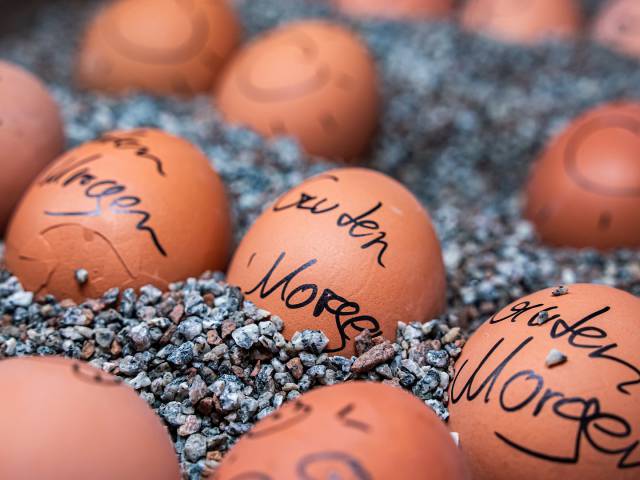 Beschriftete Eier mit Text, Gesichtern und Sonne im Frühstücksbuffet