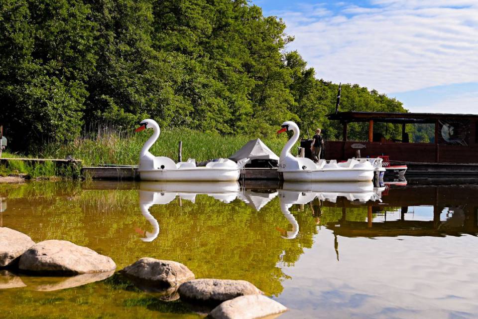 Tretboote in Schwanenform auf dem Labusssee und im Vordergrund ein Steinhalbkreis