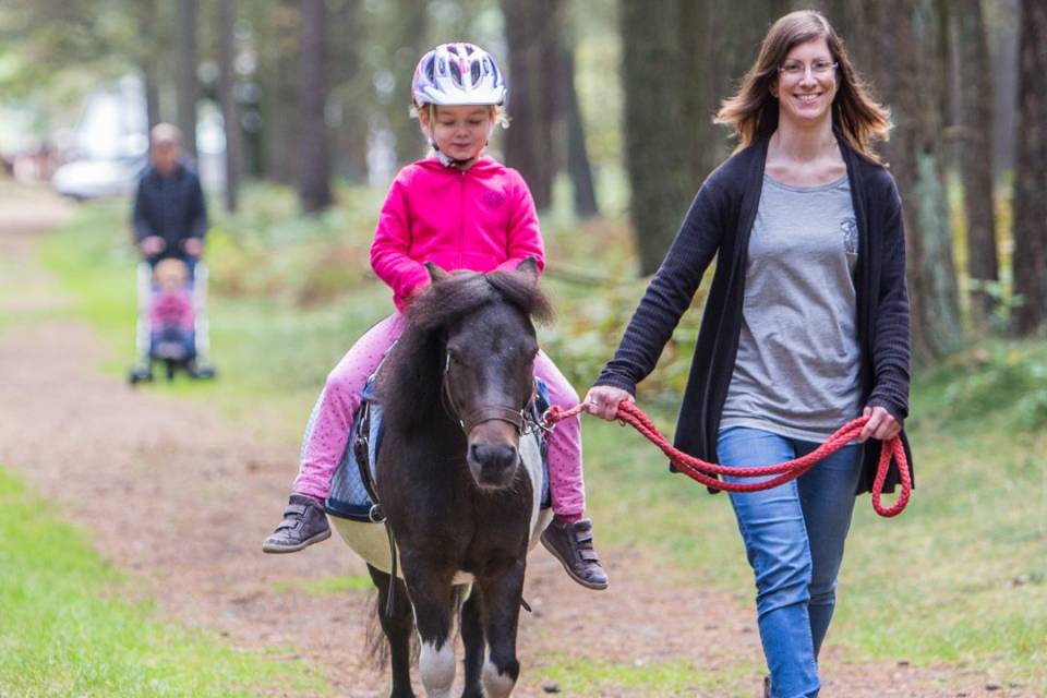 braunes Pony wird von Kind geritten und Mutter führt sie an rotem Strick 