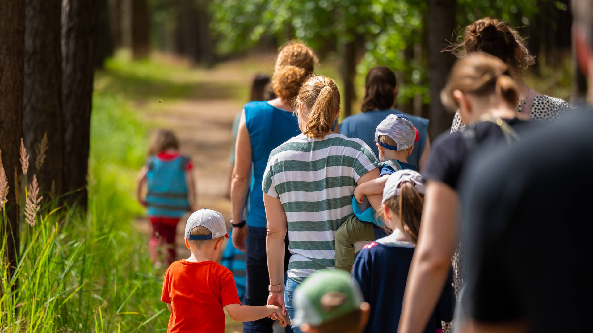 Familien machen einen Spaziergang durch den Müritz Nationalpark